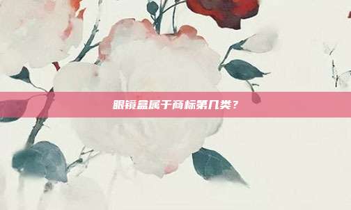 眼镜盒属于商标第几类？
