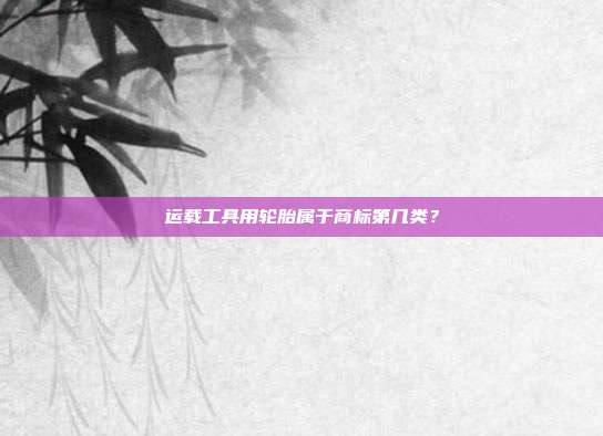 运载工具用轮胎属于商标第几类?