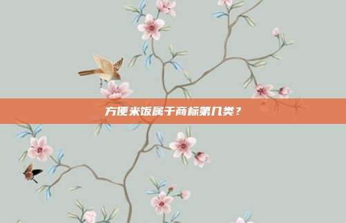 方便米饭属于商标第几类?