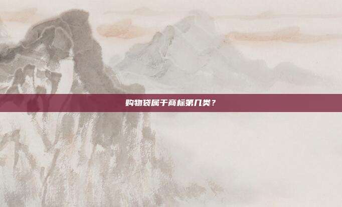 购物袋属于商标第几类?