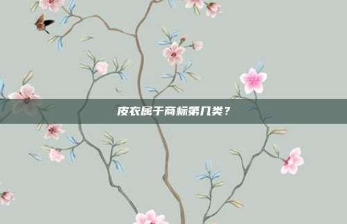 皮衣属于商标第几类?