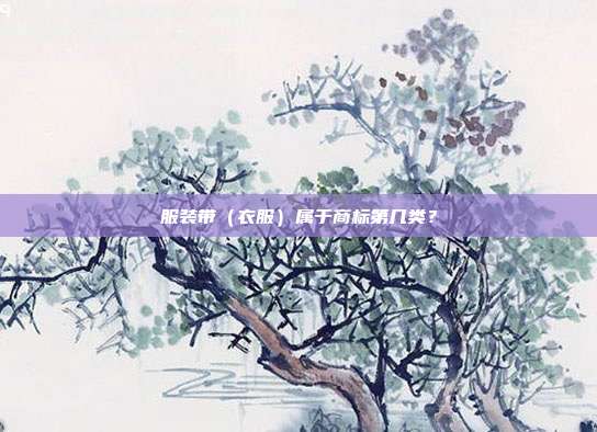 服装带（衣服）属于商标第几类？