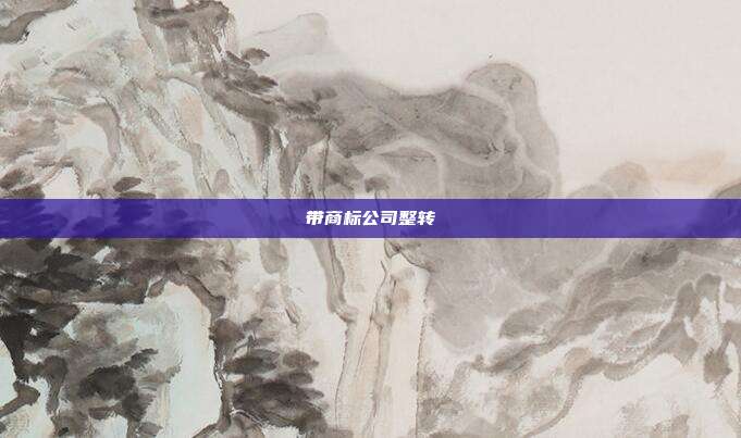 带商标公司整转
