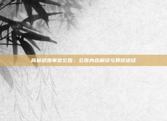 商标初步审定公告：公告内容解读与异议途径