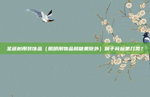 圣诞树用装饰品(照明用物品和糖果除外)属于商标第几类?