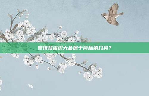 安排和组织大会属于商标第几类?