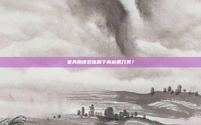 家具用皮装饰属于商标第几类?