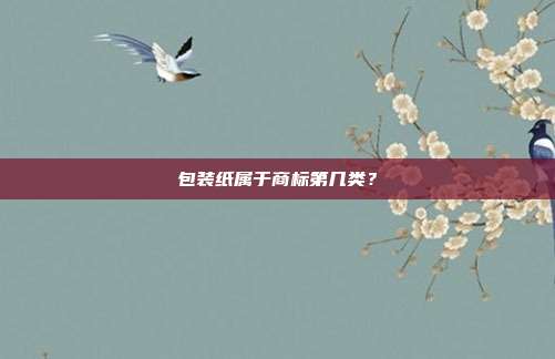 包装纸属于商标第几类？