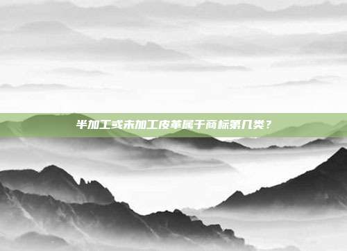 半加工或未加工皮革属于商标第几类？