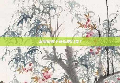 太阳镜属于商标第几类?