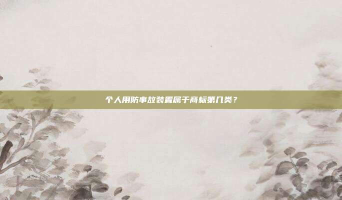 个人用防事故装置属于商标第几类?