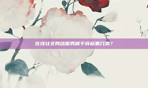 在线社交网络服务属于商标第几类?