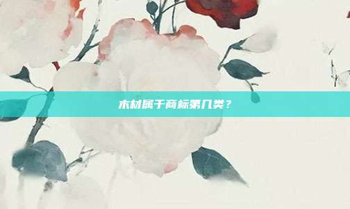 木材属于商标第几类?