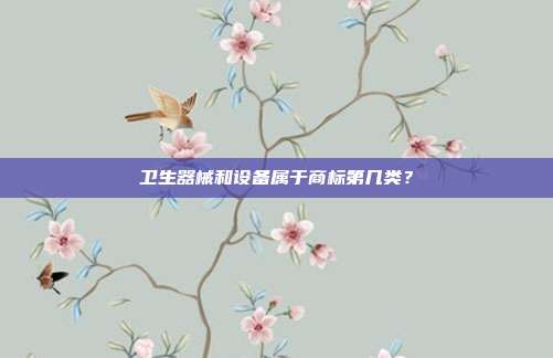 卫生器械和设备属于商标第几类?