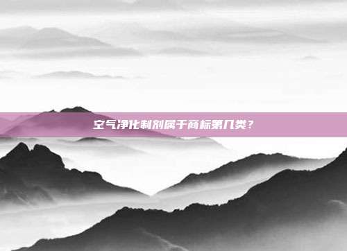 空气净化制剂属于商标第几类?