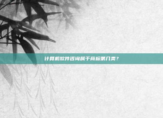 计算机软件咨询属于商标第几类？