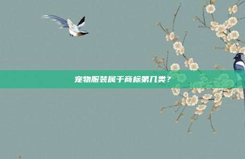 宠物服装属于商标第几类?