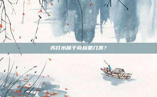 苏打水属于商标第几类?