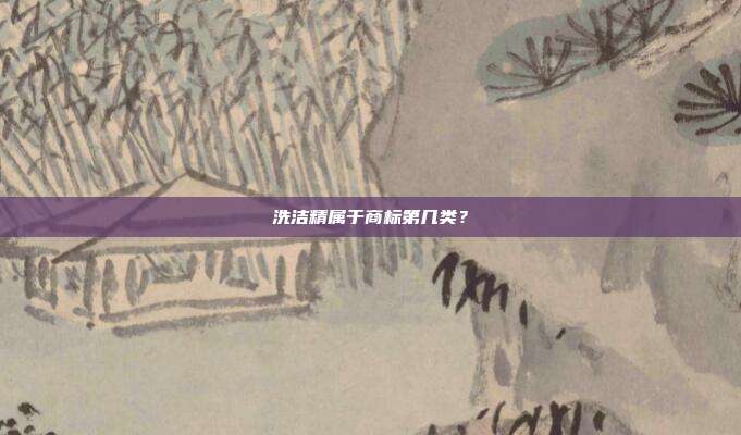 洗洁精属于商标第几类？