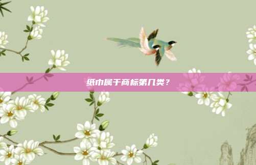 纸巾属于商标第几类？