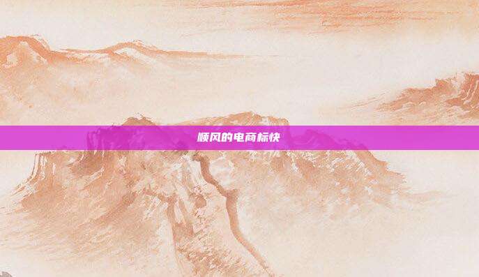 顺风的电商标快