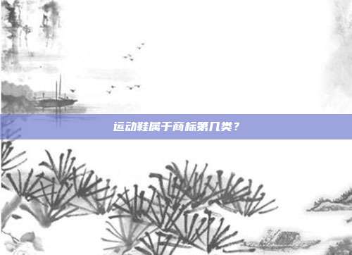 运动鞋属于商标第几类？