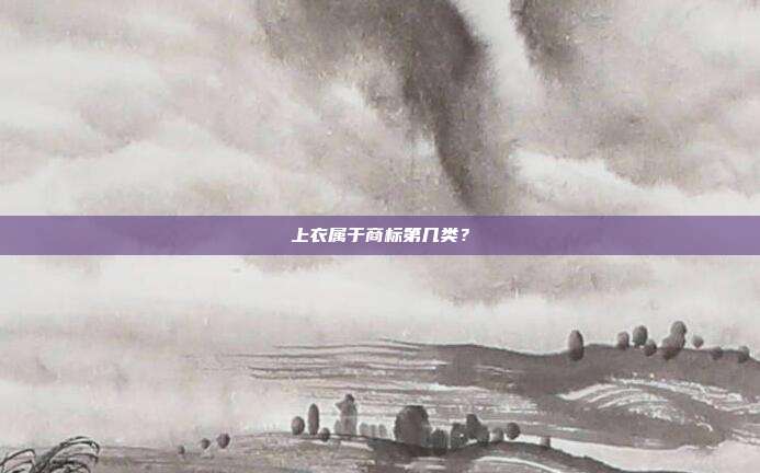 上衣属于商标第几类?