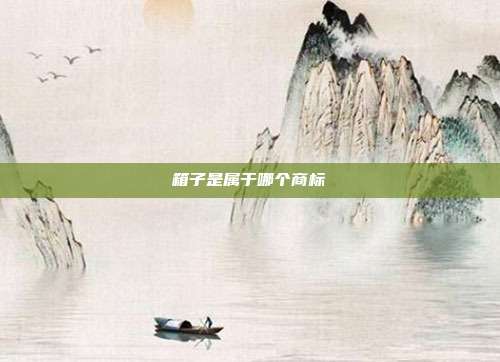 箱子是属于哪个商标