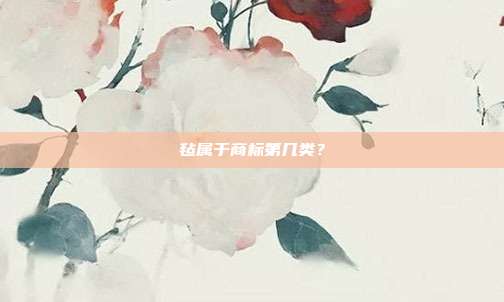 毡属于商标第几类?