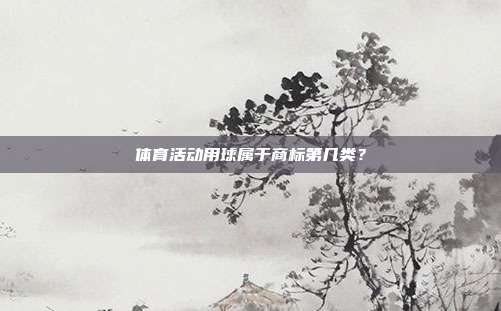 体育活动用球属于商标第几类？