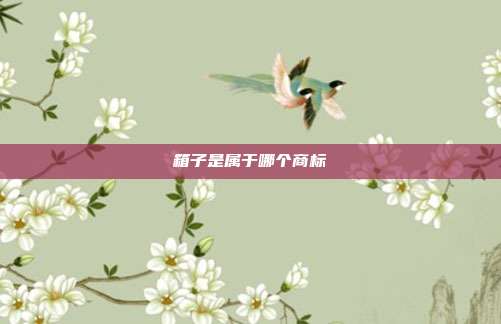 箱子是属于哪个商标