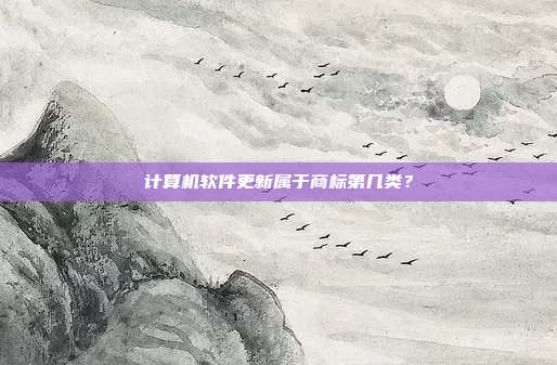 计算机软件更新属于商标第几类?