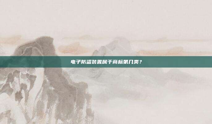 电子防盗装置属于商标第几类?