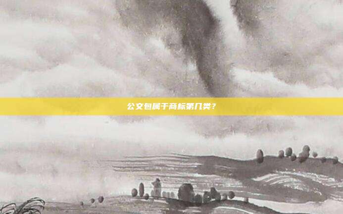 公文包属于商标第几类？