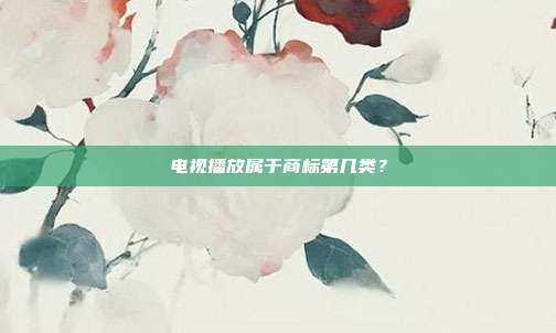 电视播放属于商标第几类？