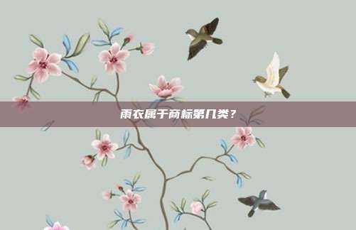 雨衣属于商标第几类？