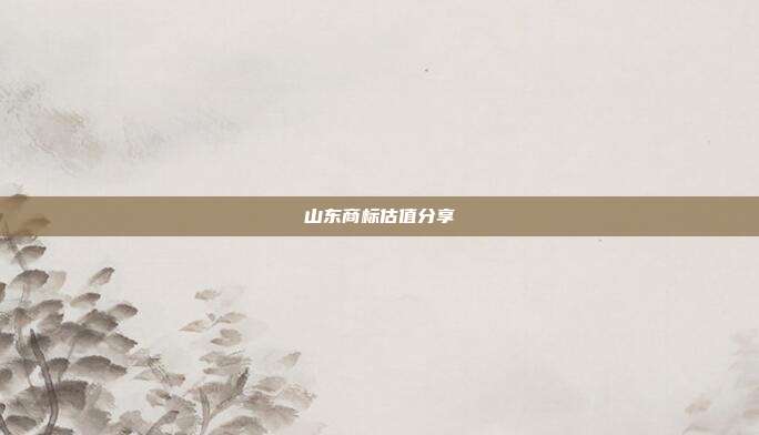 山东商标估值分享