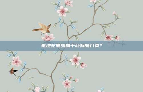 电池充电器属于商标第几类？