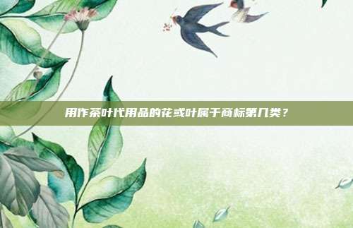 用作茶叶代用品的花或叶属于商标第几类?