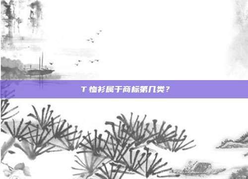 T恤衫属于商标第几类?