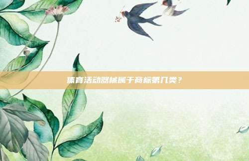 体育活动器械属于商标第几类?