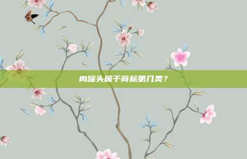 肉罐头属于商标第几类？
