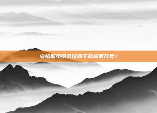 安排和组织会议属于商标第几类？