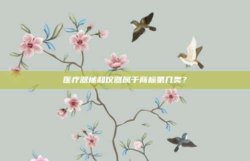 医疗器械和仪器属于商标第几类？