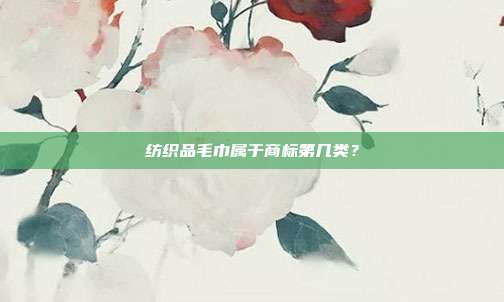 纺织品毛巾属于商标第几类?