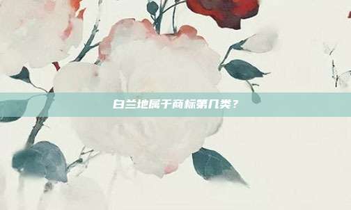 白兰地属于商标第几类?