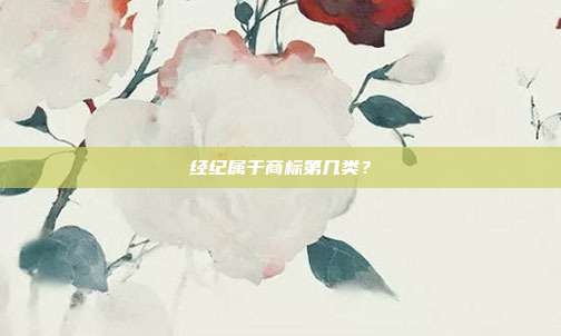 经纪属于商标第几类?