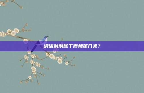 清洁制剂属于商标第几类?