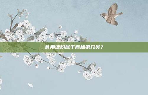 食用淀粉属于商标第几类?
