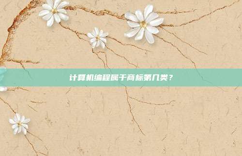 计算机编程属于商标第几类?